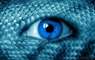 pythonskinned-eye