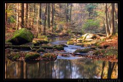 Höllbachtal