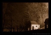 dsc_8087-sepia